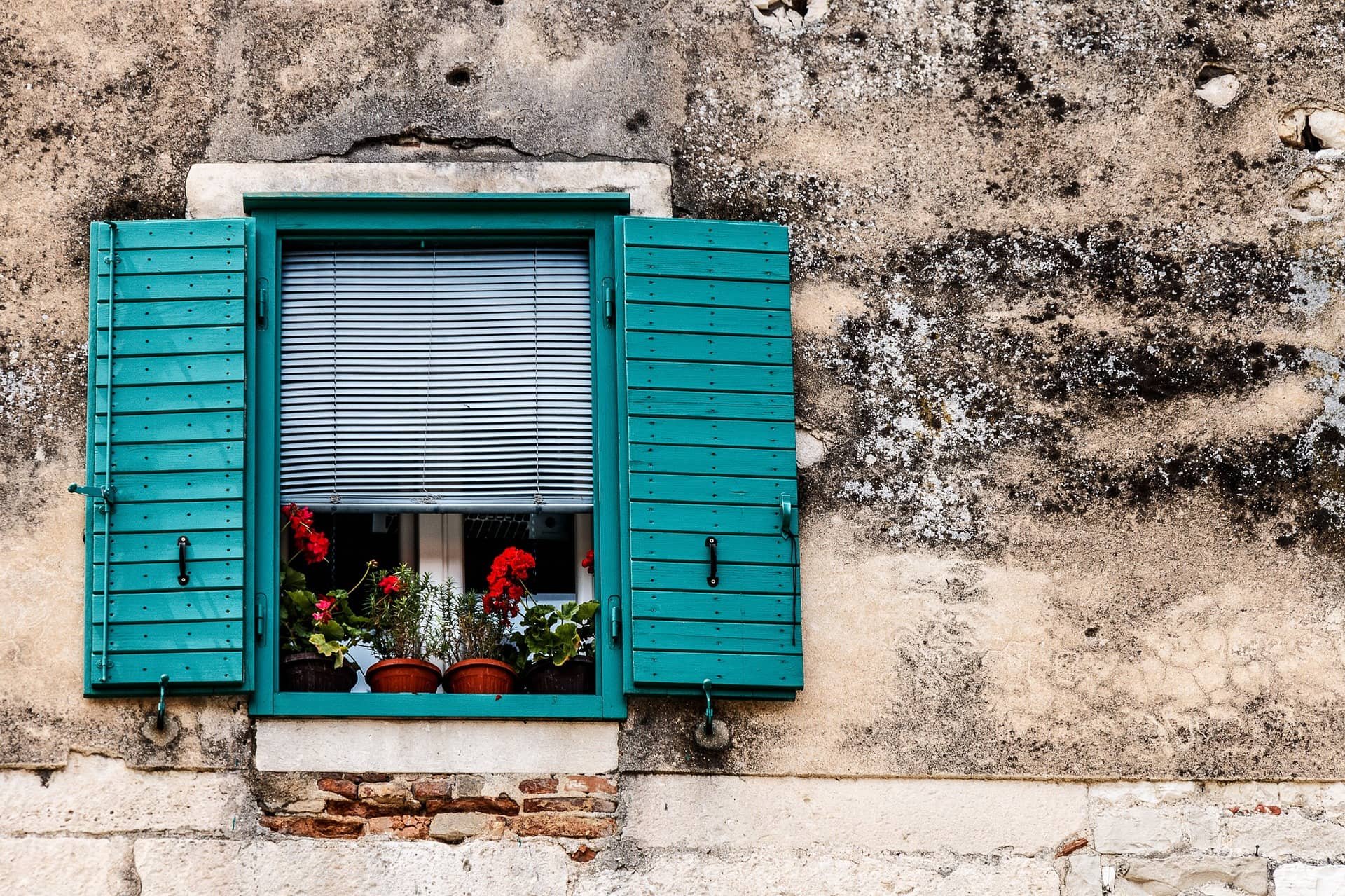 ventanas | orientación y distribución sostenible