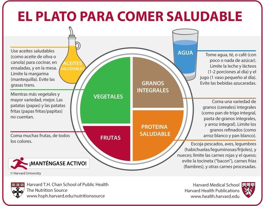 Plato de Harvard - alimentación sana y equilibrada