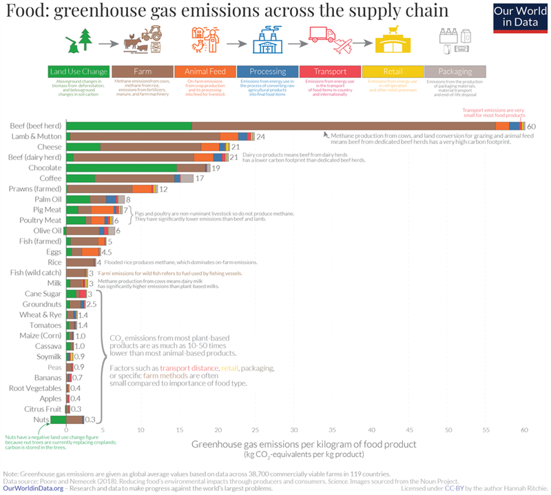 alimentos saludables para el medio ambiente - emisiones de CO2 y otros gases invernadero