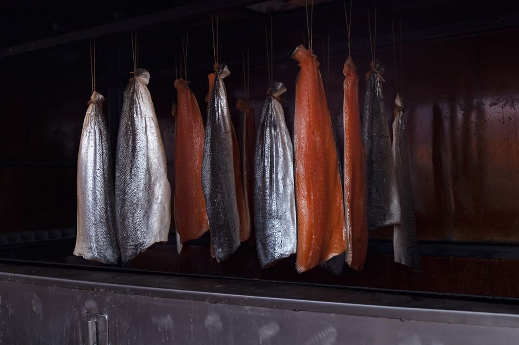 salmon