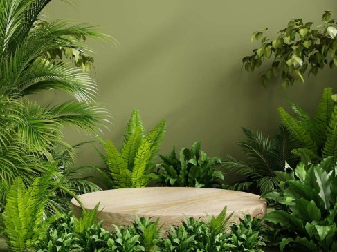 ¿Qué sienten las plantas?