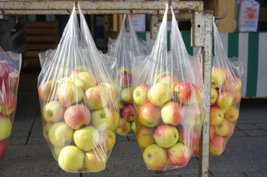 Productos biodegradables: hechos a partir de materiales orgánicos