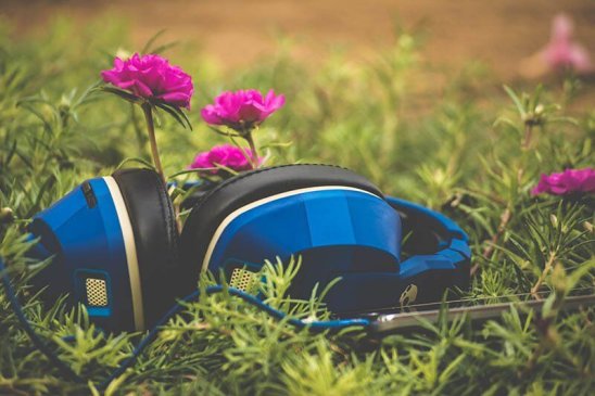 Beneficios de escuchar música con sonidos de la naturaleza