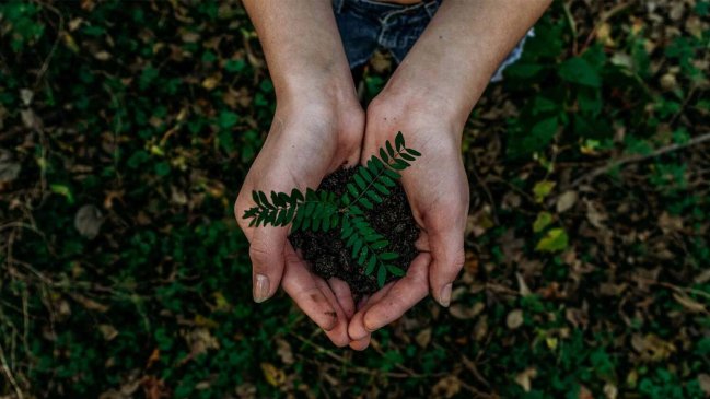 Calendario de fechas ecológicas y medioambientales