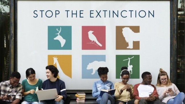 animales-en-via-de-extincion