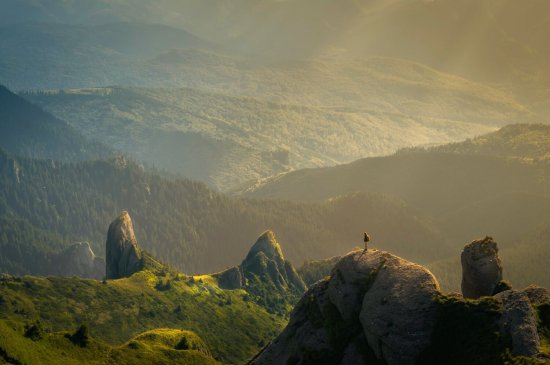 ¿Qué es el ecoturismo o turismo ecológico?