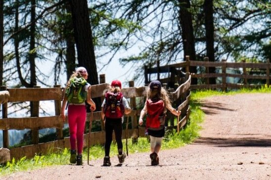 Cómo enseñar a los niños a cuidar el medioambiente (desde pequeños)