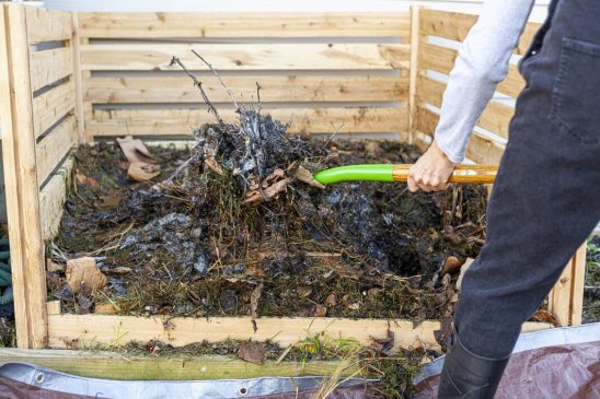 Qué Es Y Cómo Hacer Compost Casero