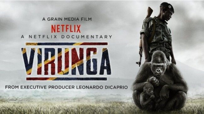 mejores documentales sobre medioambiente en netflix