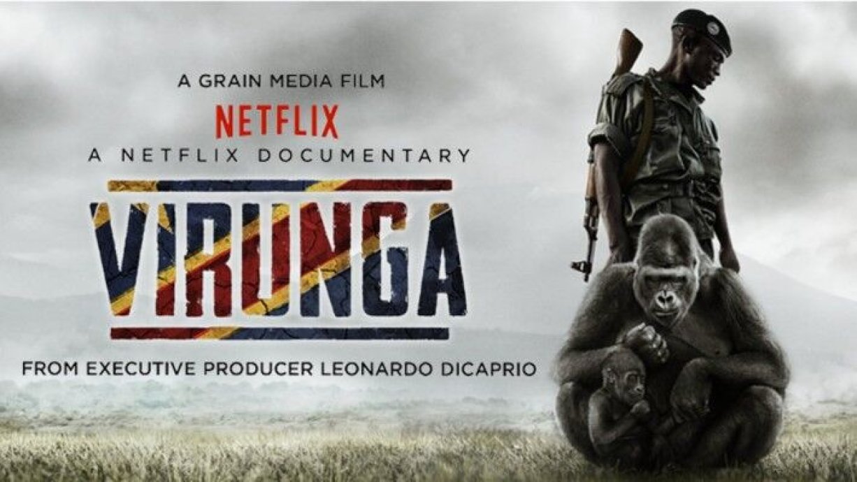mejores documentales sobre medioambiente en netflix
