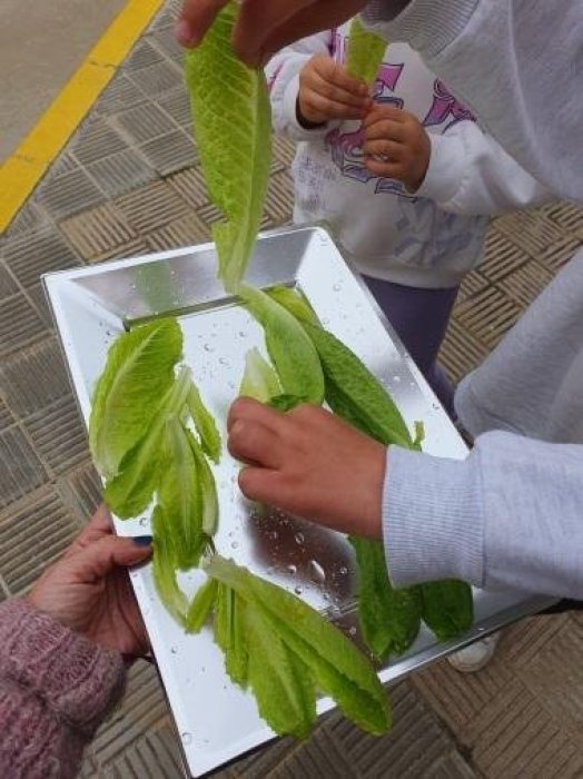SOLOS SOMOS GOTAS, JUNTOS FORMAMOS OCÉANOS.